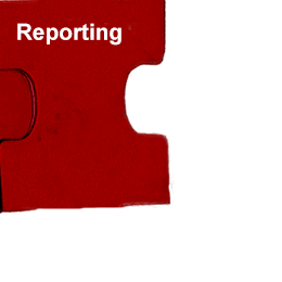 Reporting